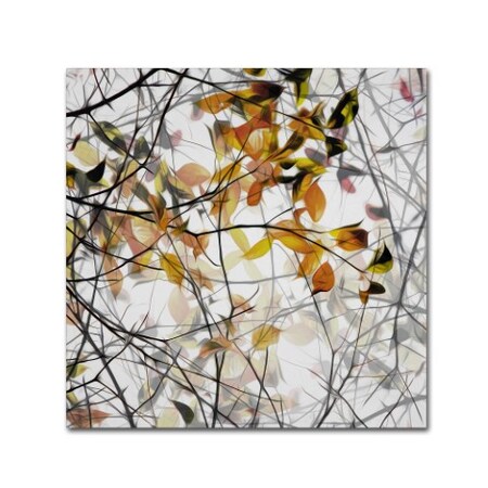 Gilbert Claes 'Autumn Song' Canvas Art,18x18